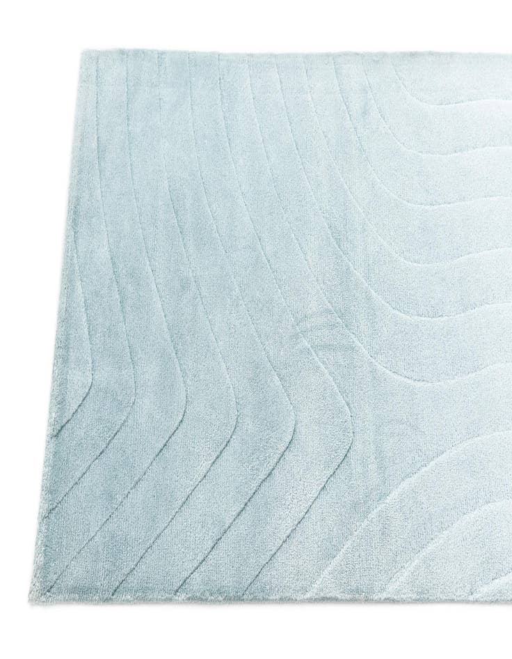 Detail image of  2' 8 x 9' 8 Darya Runner Rug