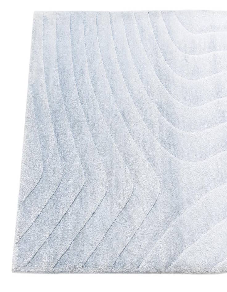 Detail image of  2' 9 x 9' 10 Darya Runner Rug