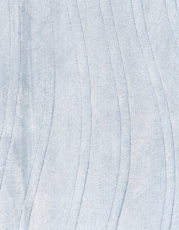 Detail image of  2' 8 x 9' 9 Darya Runner Rug