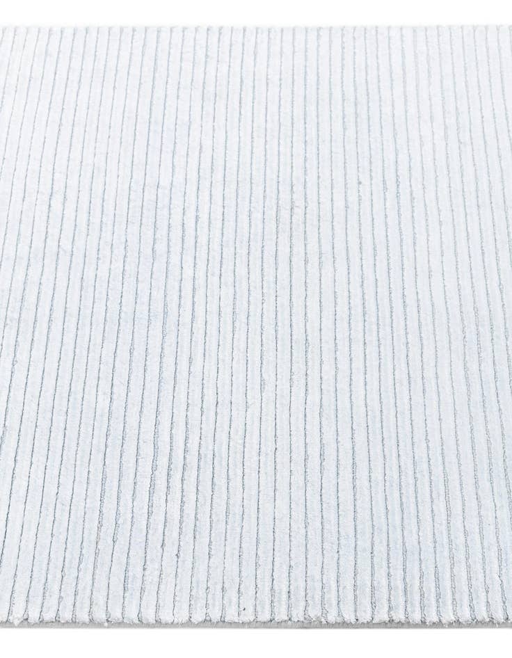 Detail image of  2' 7 x 13' 3 Darya Runner Rug