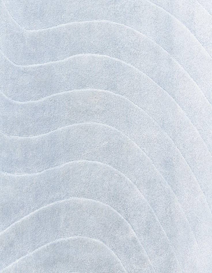 Detail image of  2' 9 x 13' Darya Runner Rug