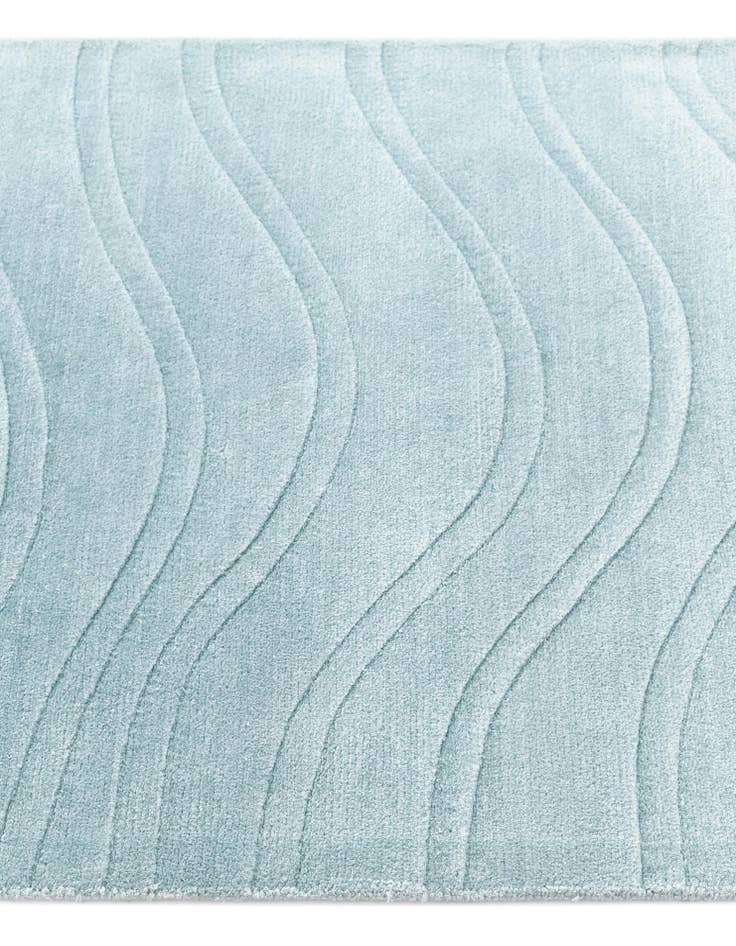 Detail image of  2' 8 x 12' 11 Darya Runner Rug