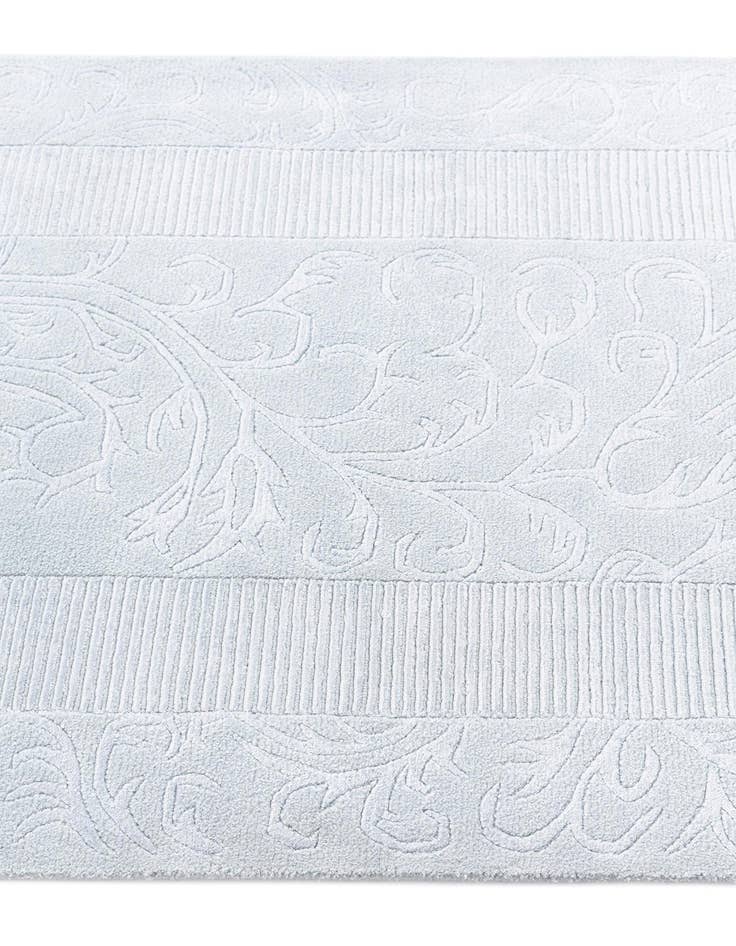 Detail image of  3' 3 x 12' 11 Darya Runner Rug