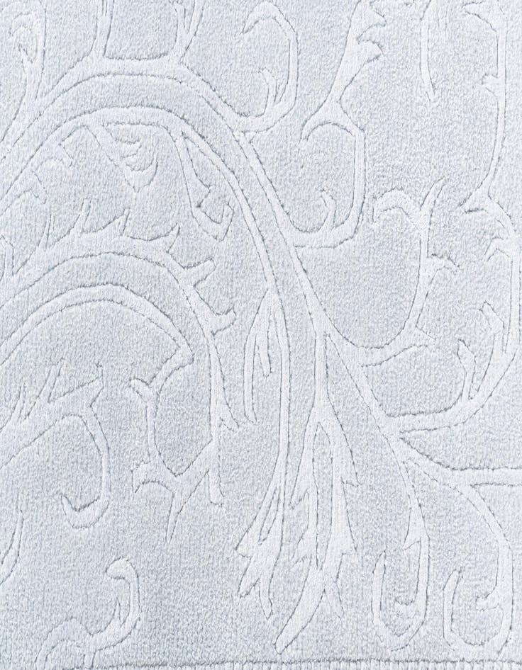 Detail image of  3' 3 x 12' 11 Darya Runner Rug