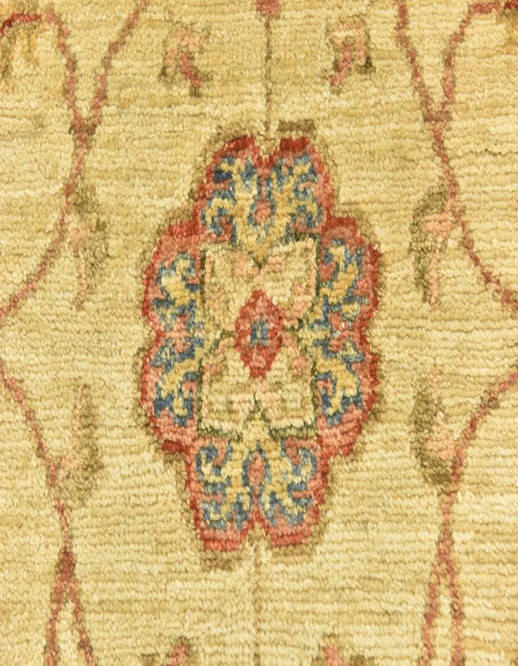 Detail image of  3' 10 x 17' 6  Hand Knotted Peshawar Ziegler Runner Rug