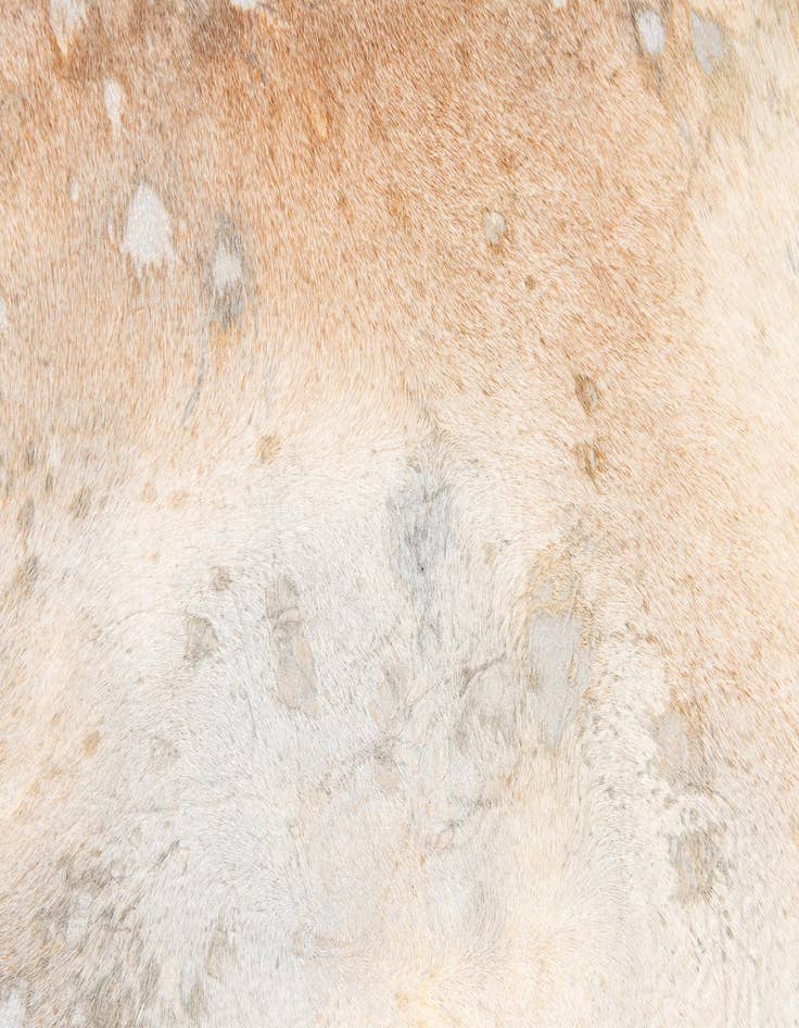 Detail image of  5' 11 x 6' 7 Cowhide Leather Square Rug
