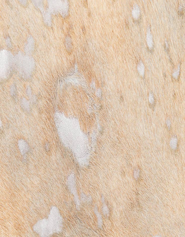Detail image of  7' 1 x 7' 9 Cowhide Leather Square Rug