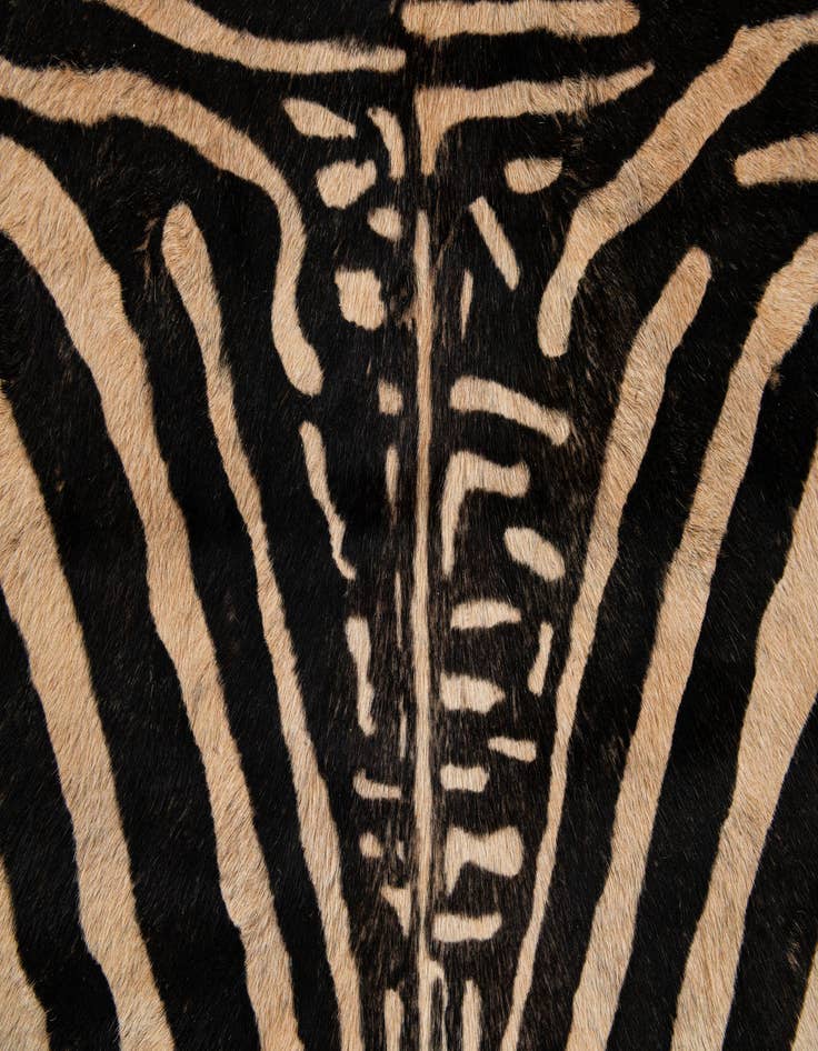 Detail image of  6' x 7' 2 Cowhide Leather Freeform Rug