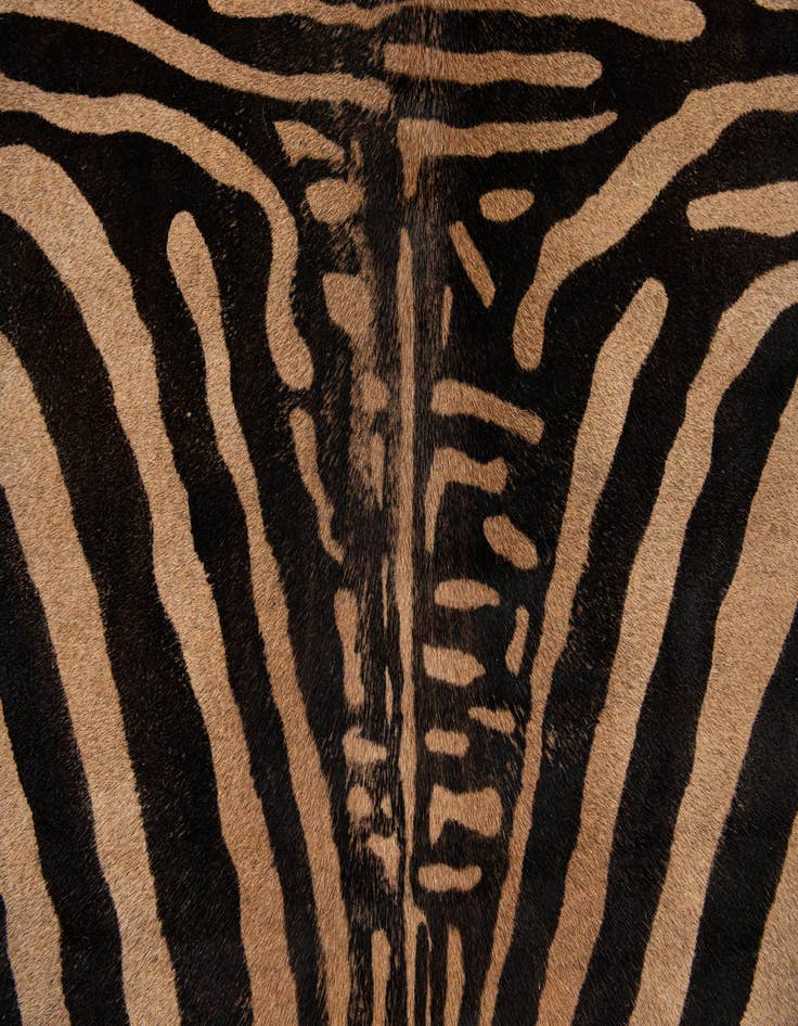 Detail image of  6' 6 x 6' 9 Cowhide Leather Freeform Rug