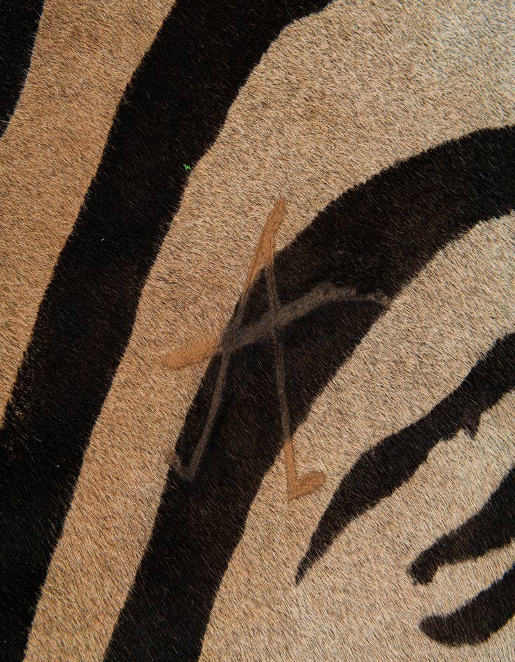 Detail image of  6' 6 x 6' 9 Cowhide Leather Freeform Rug