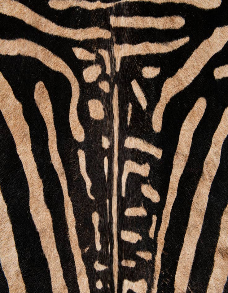 Detail image of  6' 6 x 7' Cowhide Leather Freeform Rug