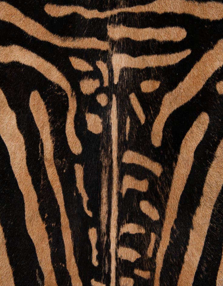 Detail image of  6' 3 x 7' 2 Cowhide Leather Freeform Rug