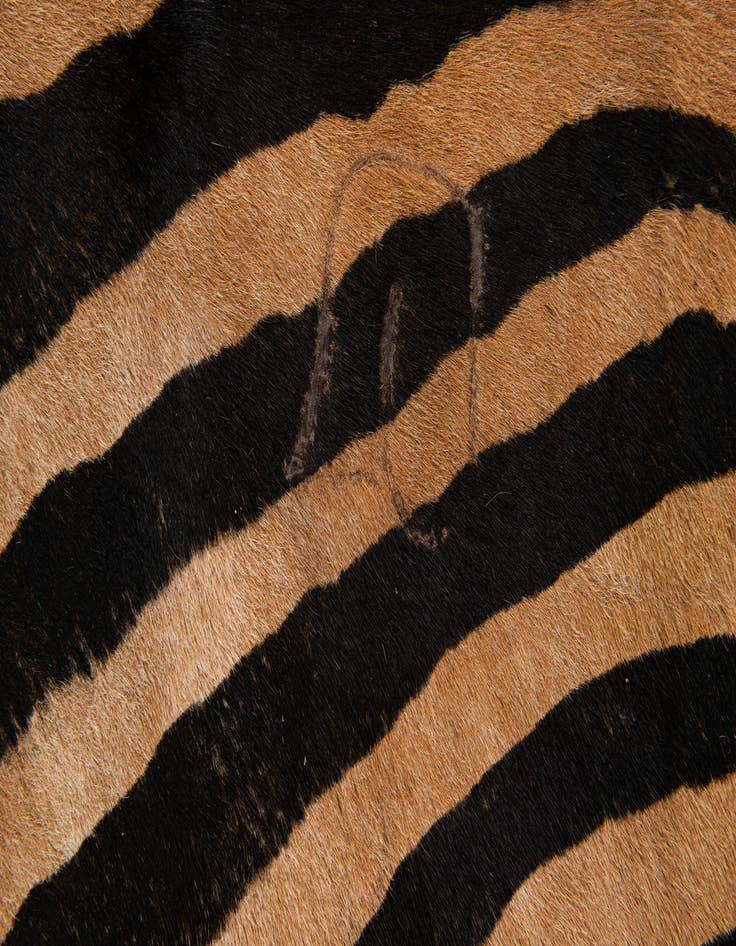 Detail image of  6' 3 x 7' 2 Cowhide Leather Freeform Rug