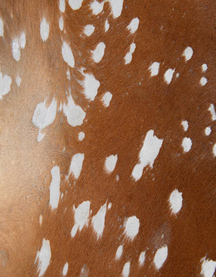 Detail image of  6' 1 x 6' 5 Cowhide Leather Freeform Rug