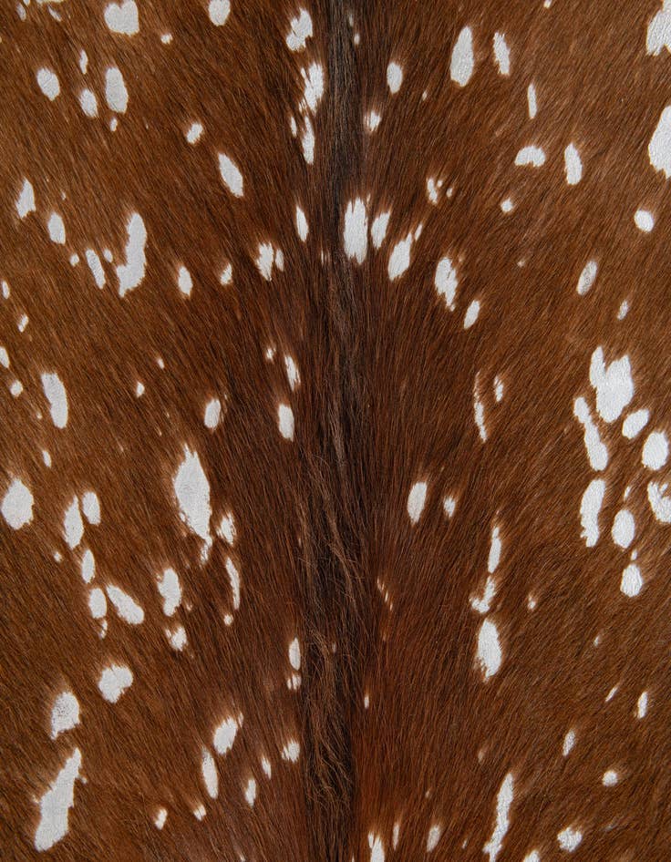 Detail image of  5' 9 x 6' 10 Cowhide Leather Freeform Rug