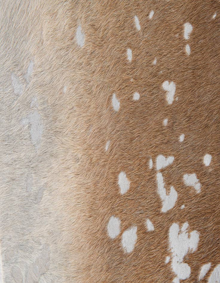 Detail image of  5' 9 x 6' 10 Cowhide Leather Freeform Rug