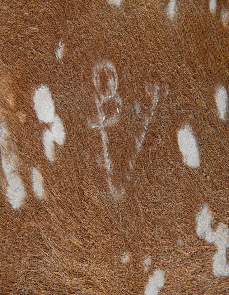 Detail image of  7' x 7' 3 Cowhide Leather Freeform Rug