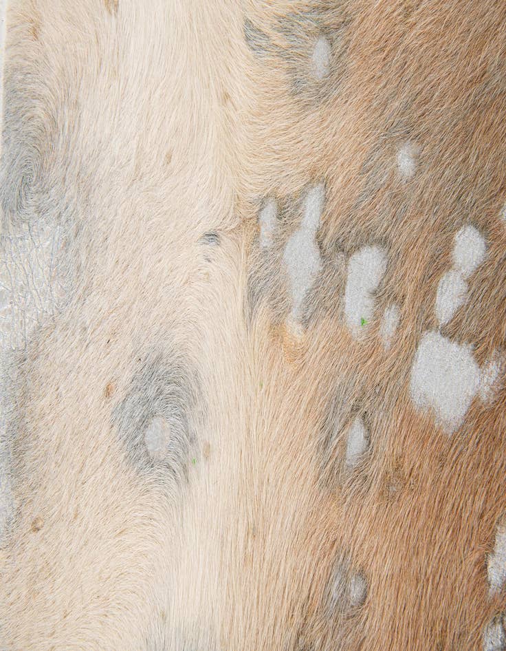 Detail image of  7' x 7' 3 Cowhide Leather Freeform Rug