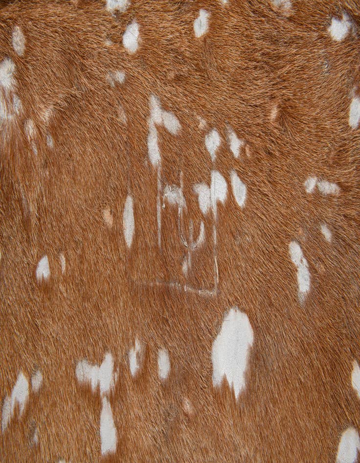 Detail image of  6' 8 x 7' Cowhide Leather Freeform Rug