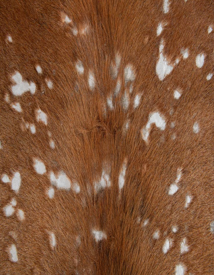 Detail image of  6' x 6' 6 Cowhide Leather Freeform Rug