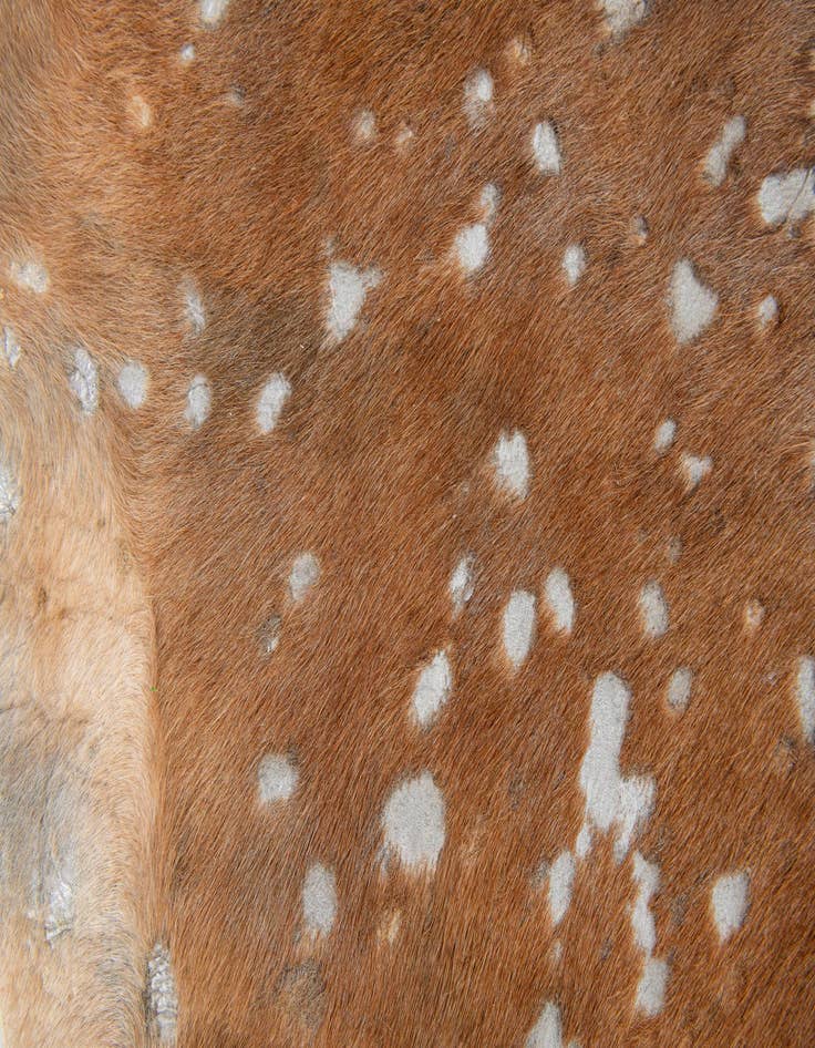 Detail image of  6' x 6' 6 Cowhide Leather Freeform Rug