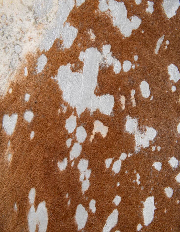 Detail image of  6' 2 x 6' 9 Cowhide Leather Freeform Rug