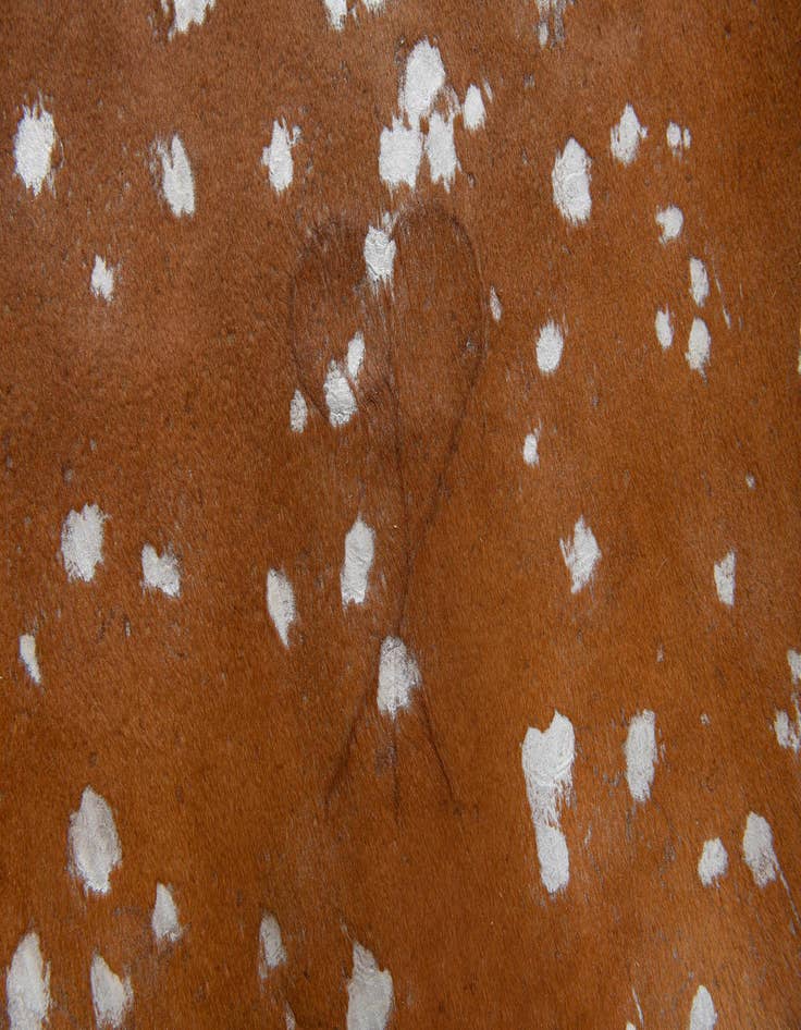 Detail image of  6' 2 x 6' 10 Cowhide Leather Freeform Rug