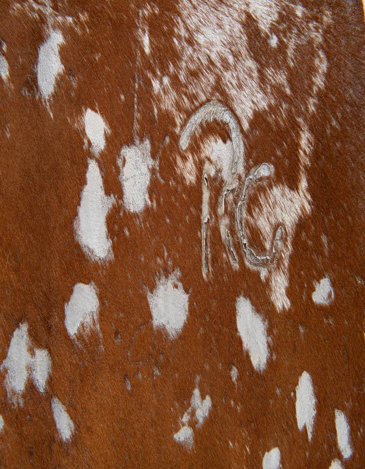 Detail image of  6' 2 x 6' 10 Cowhide Leather Freeform Rug