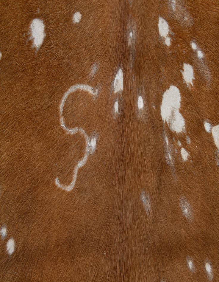 Detail image of  6' 5 x 6' 10 Cowhide Leather Freeform Rug