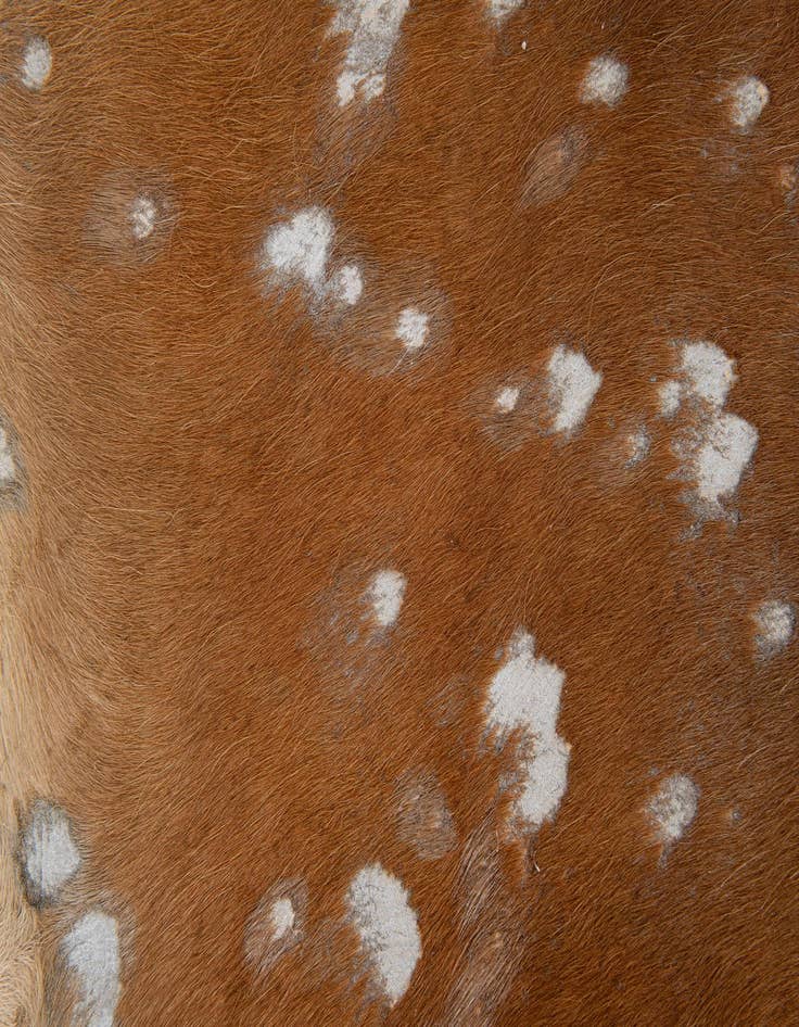 Detail image of  6' 5 x 6' 10 Cowhide Leather Freeform Rug