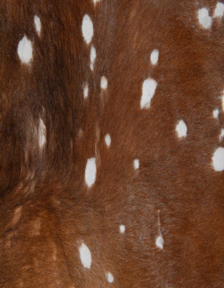 Detail image of  6' 8 x 7' Cowhide Leather Freeform Rug