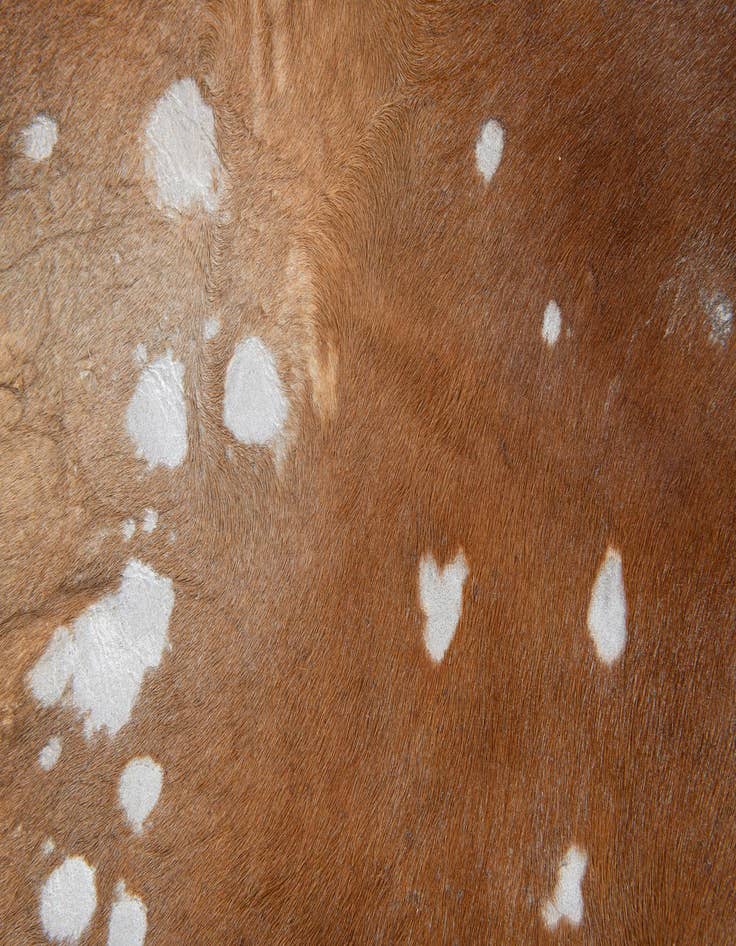 Detail image of  6' 8 x 7' Cowhide Leather Freeform Rug