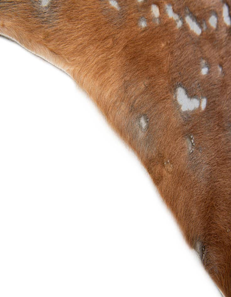 Detail image of  5' 10 x 6' 4 Cowhide Leather Freeform Rug