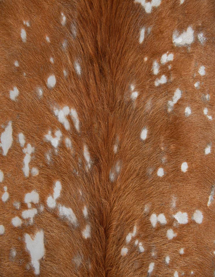 Detail image of  5' 10 x 6' 4 Cowhide Leather Freeform Rug