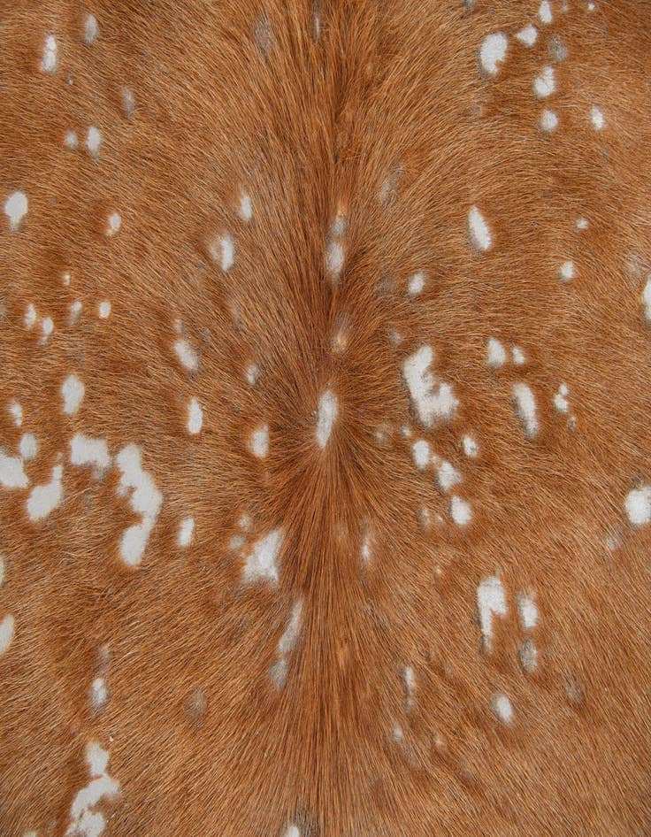 Detail image of  5' 10 x 6' 4 Cowhide Leather Freeform Rug