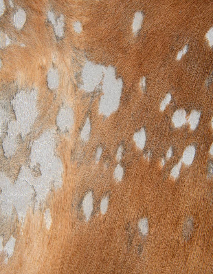 Detail image of  5' 10 x 6' 4 Cowhide Leather Freeform Rug