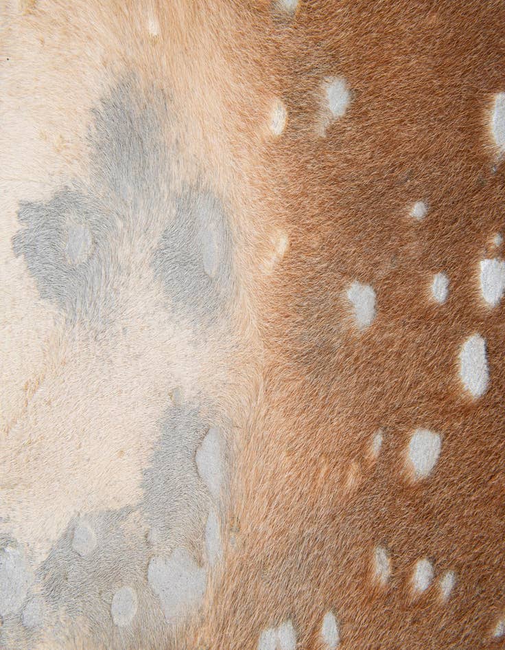 Detail image of  6' x 6' 4 Cowhide Leather Freeform Rug