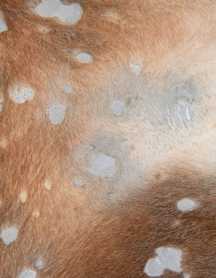 Detail image of  6' x 6' 4 Cowhide Leather Freeform Rug