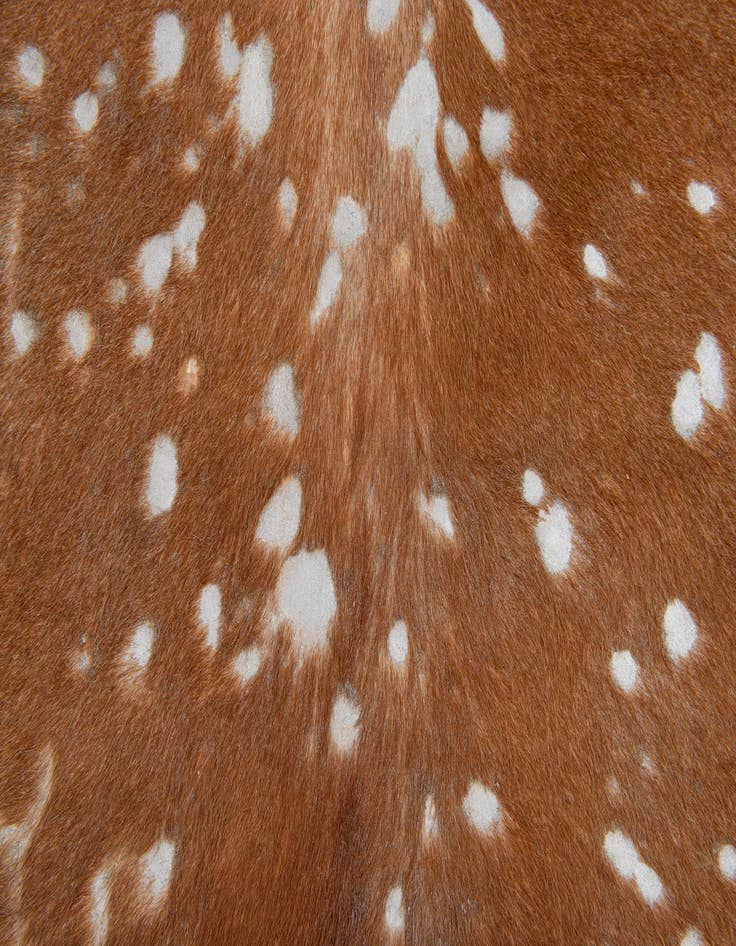 Detail image of  6' x 6' 4 Cowhide Leather Freeform Rug