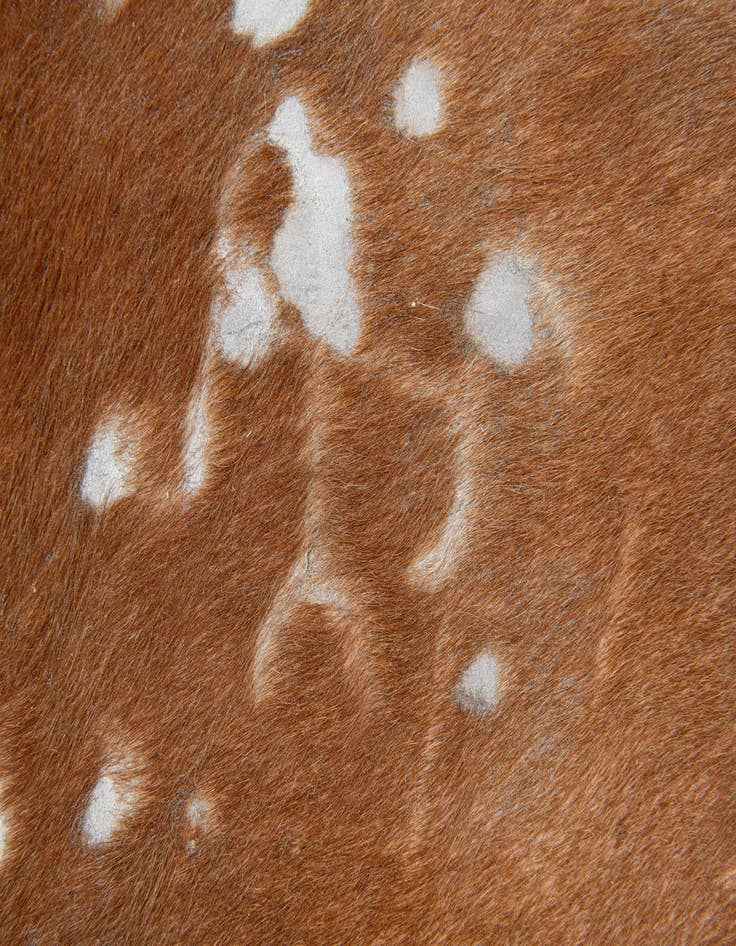 Detail image of  6' x 6' 4 Cowhide Leather Freeform Rug