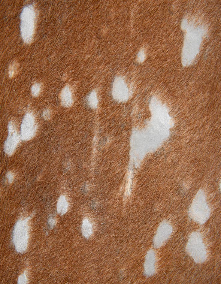 Detail image of  6' x 6' 4 Cowhide Leather Freeform Rug