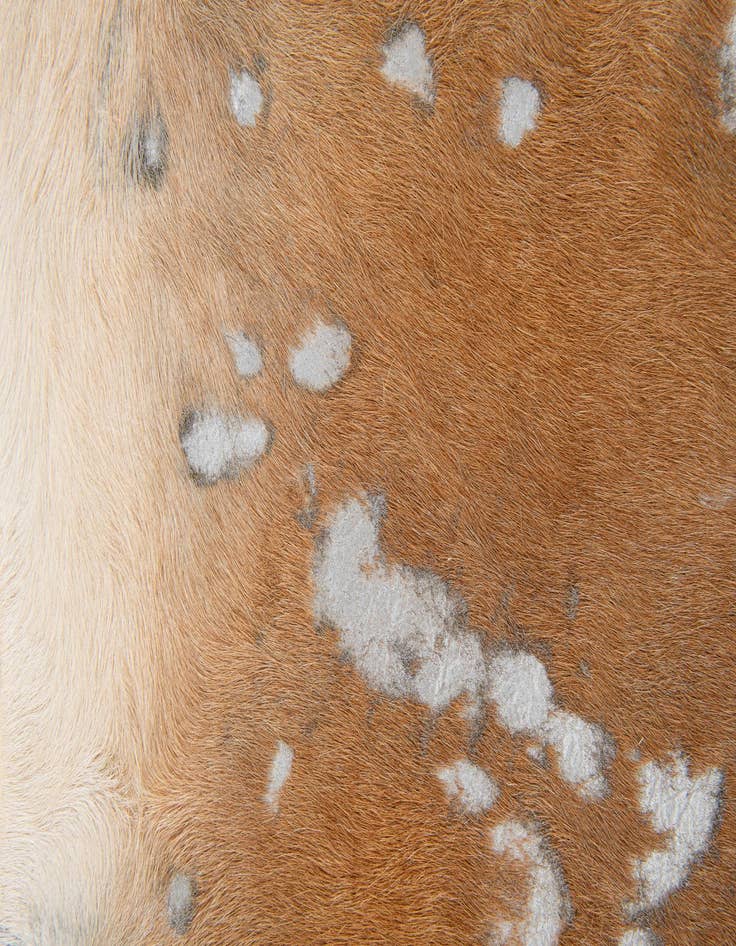Detail image of  6' 6 x 7' 1 Cowhide Leather Freeform Rug