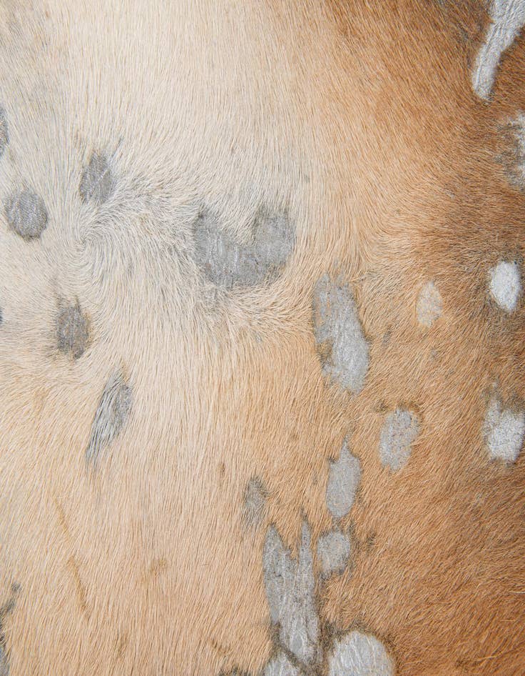 Detail image of  6' 6 x 7' 1 Cowhide Leather Freeform Rug