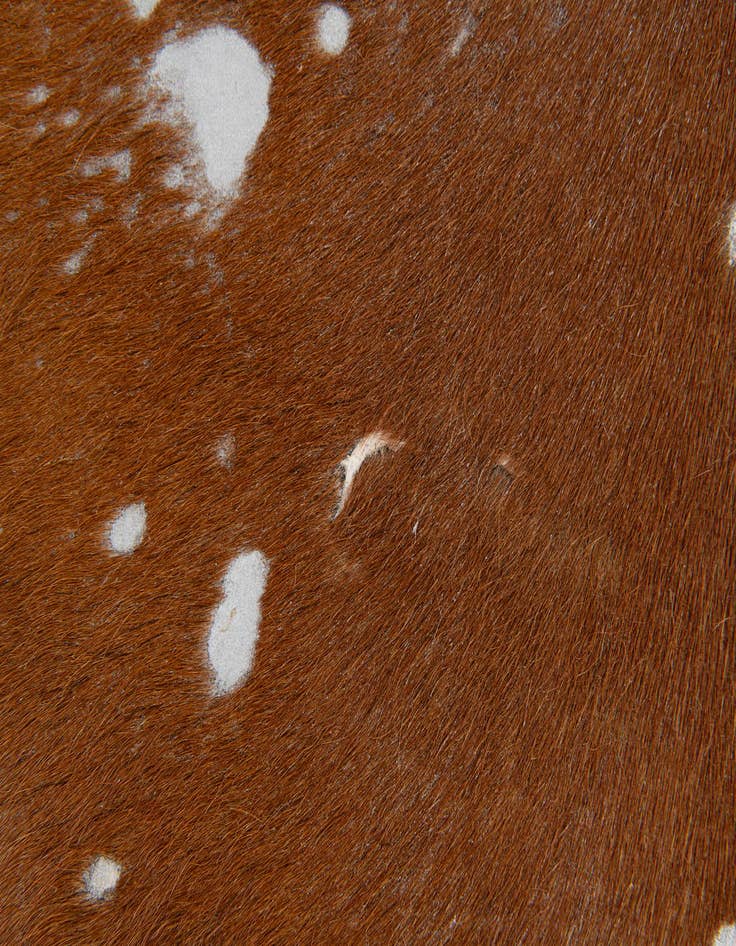 Detail image of  6' 8 x 7' 2 Cowhide Leather Freeform Rug