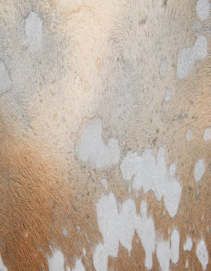 Detail image of  6' 8 x 7' 2 Cowhide Leather Freeform Rug