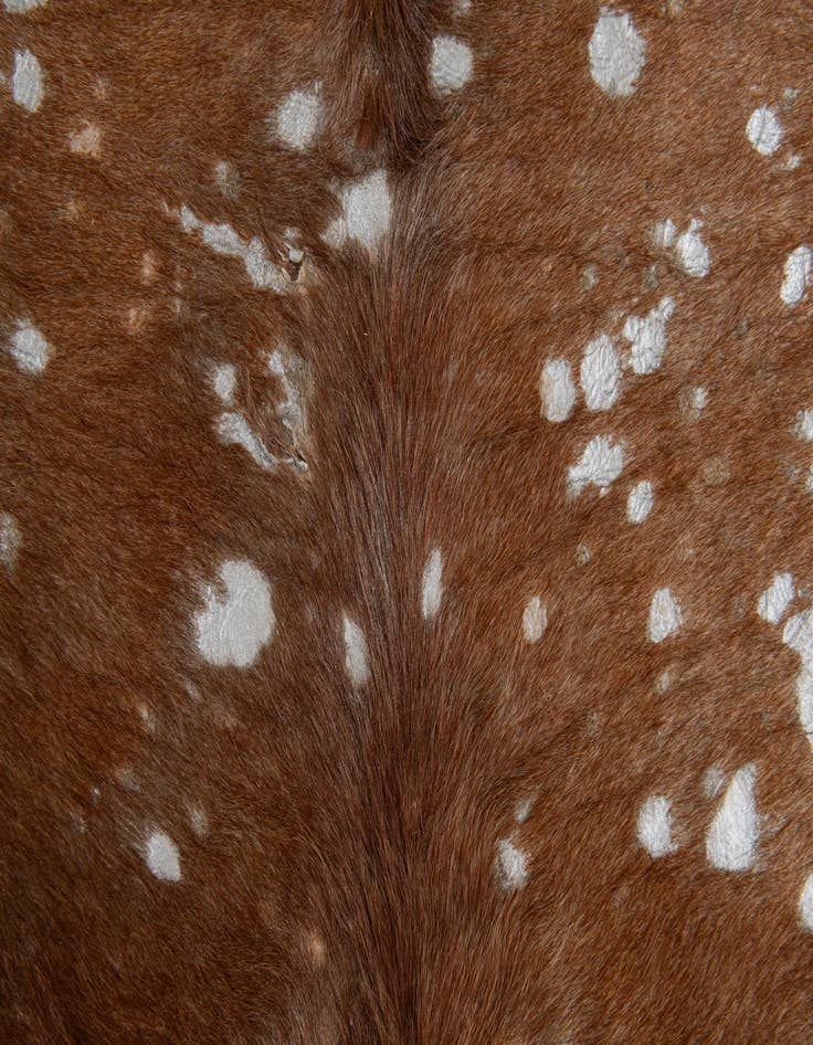 Detail image of  6' 7 x 7' 3 Cowhide Leather Freeform Rug