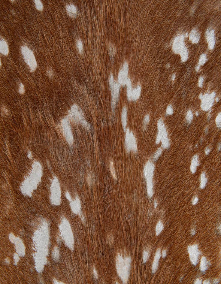 Detail image of  6' 7 x 7' 3 Cowhide Leather Freeform Rug