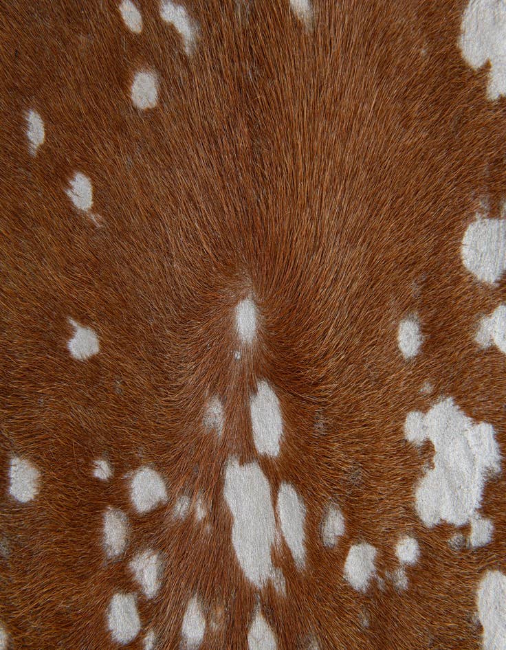 Detail image of  6' 7 x 7' 3 Cowhide Leather Freeform Rug