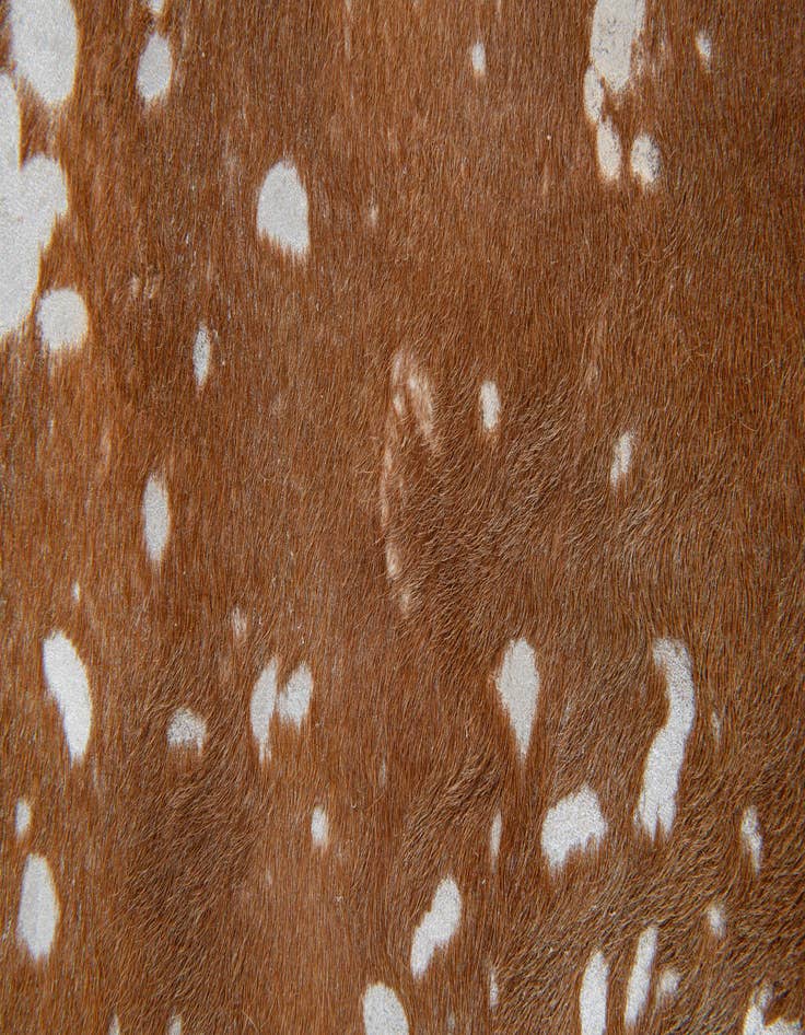 Detail image of  7' x 7' 6 Cowhide Leather Freeform Rug