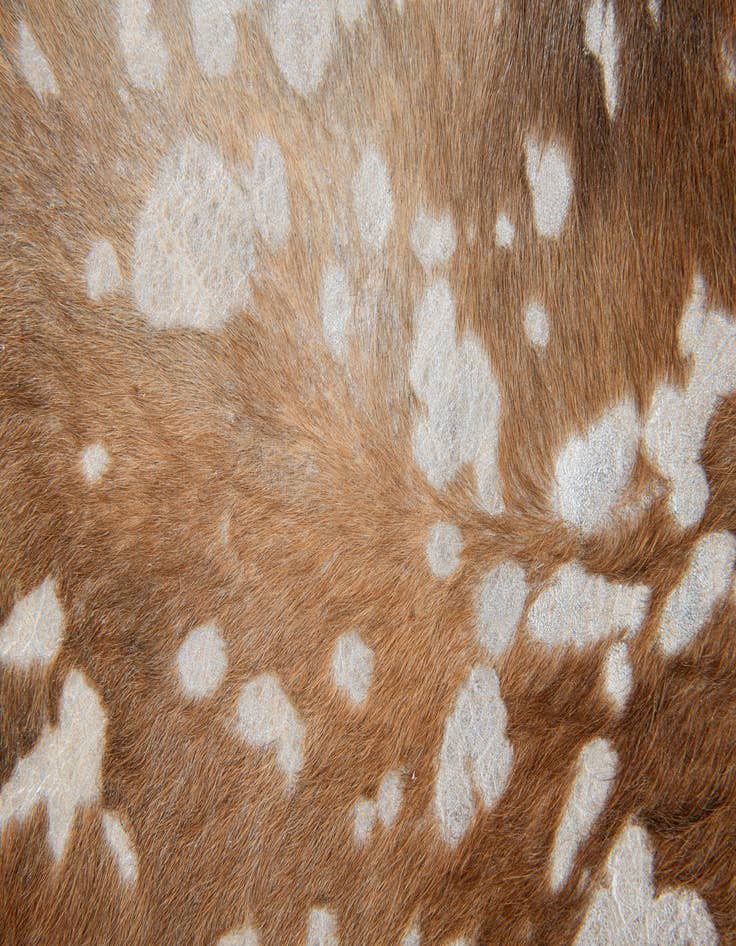 Detail image of  7' x 7' 6 Cowhide Leather Freeform Rug